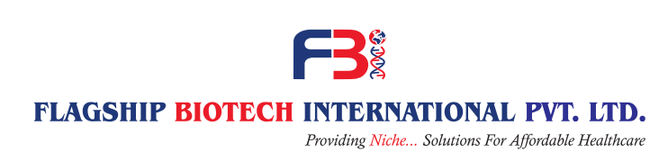 Partner 4